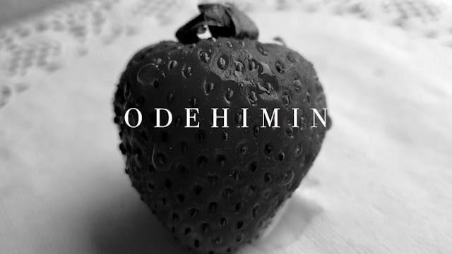 quebec 2022 - Odehimin-H264 15Mbps