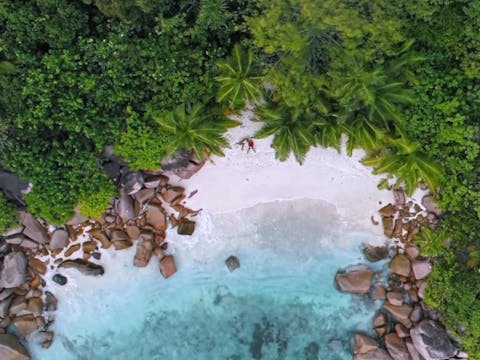 KOREA - Breakdown - Corti 1