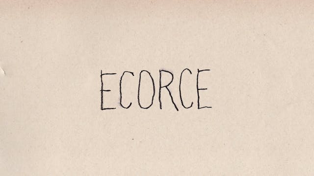 future 2021 - 5- Ecorce