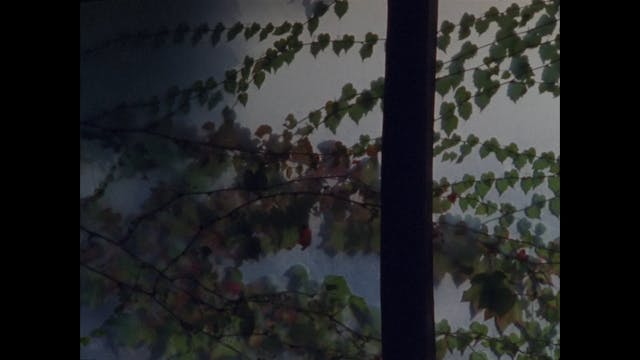 MESCALITO BIOPIC - Al largo