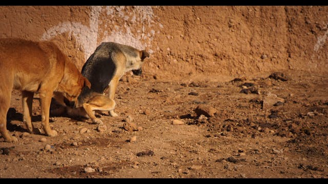 UNIFRANCE_CLEBS_SHR_TXT-FRE_169-185_1080p24-420_20AR_XX_RXX_2012TIT0147