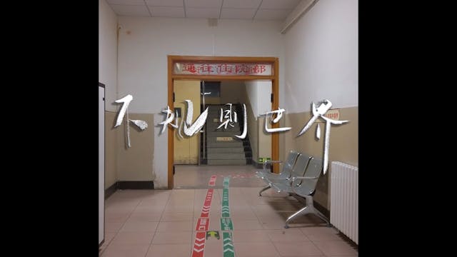 ‘LACENO - IRREGULAR WORLD‘’ without s...