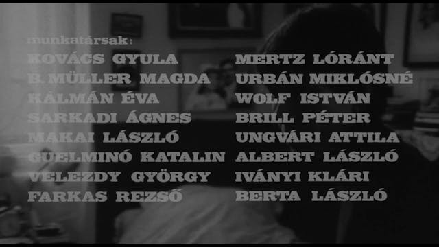 BERGAMO FILM MEETING - NFI - orokbefogadas - Adoption