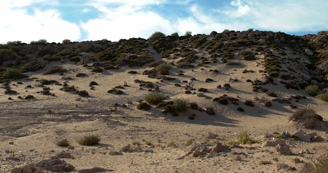 VALDARNO - LINDIOTA_SUB_ENG