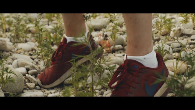 RAVENNA - Driving Animals