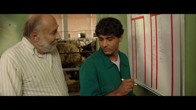 VALDARNO - IL VEGETARIANO