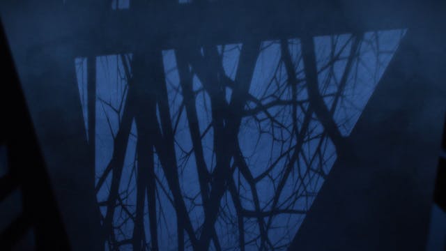 BE AFRAID - Night Feed