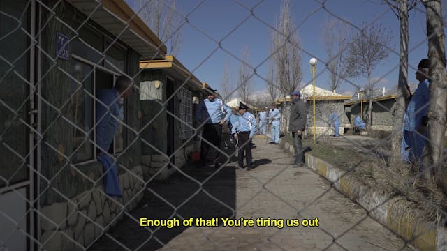 SGUARDI ALTROVE - Elders