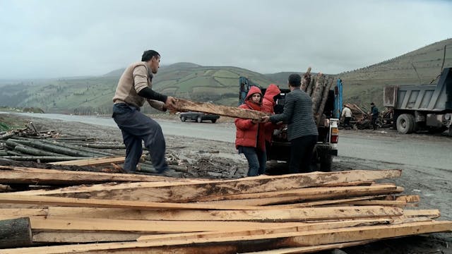 MESCALITO BIOPIC - Woodgirls