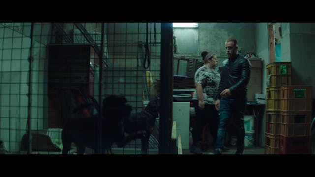 TRUECOLOURS - Sindaco Rione sanità sub romania