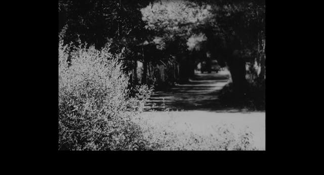 CINEMA RITROVATO - MONANGAMBEE - sub ITA