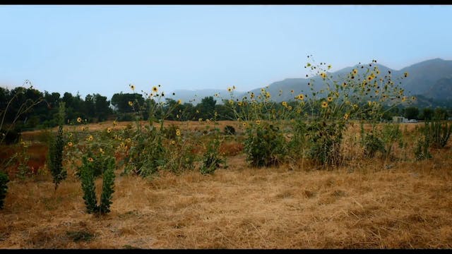 RIFF - I'm Fine Thanks For Asking_subIta