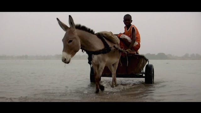 Sguardi Altrove Film - L'UOMO DEGLI ALBERI_FILM_ITA_V2 (1)