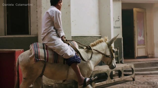 MIDDLE EAST NOW - yommedine-watermark