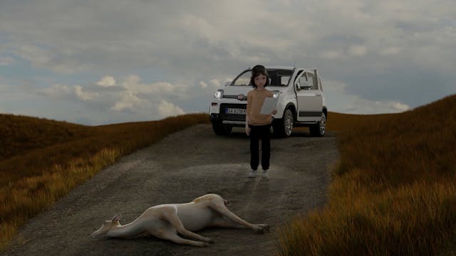 Lo schermo dell'arte - Eleonora Luccarini_4 hooves don't leave footprints_HD