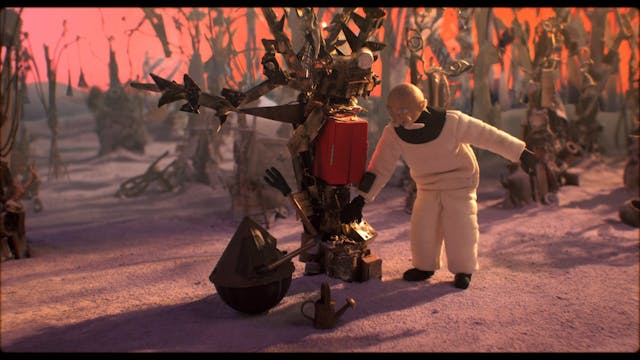 SHORTS - Home Away - Science & Society