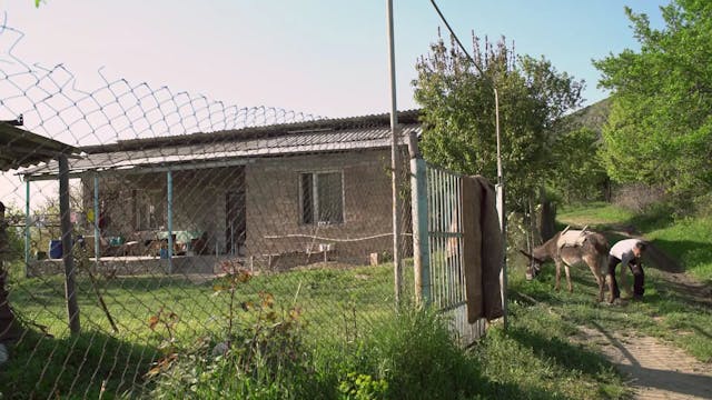 TSFF - BLOCADE_(BLOCUS)_DEF