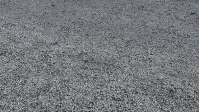 los angeles - Roberta Camanni - Anna