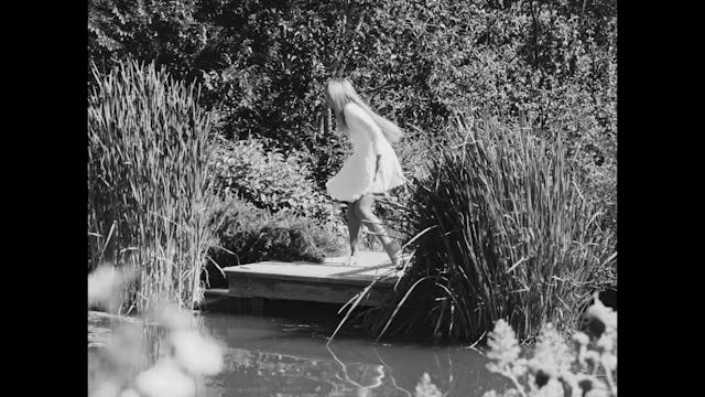 los angeles - La Grande Festa [Black & White]