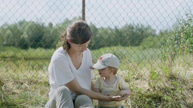 WILD ROSES_(DZIKIE RÓŻE)_DEF