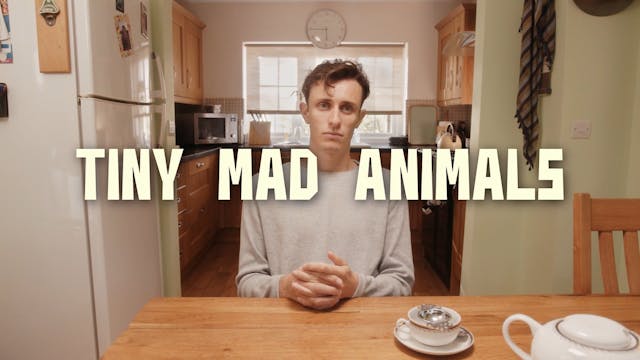 LINEA D'OMBRA 2022 - Tiny Mad Animals - LDO Marcello De Martino