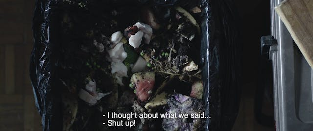 ARTELESIA - INTERNO 116 SUB ENG