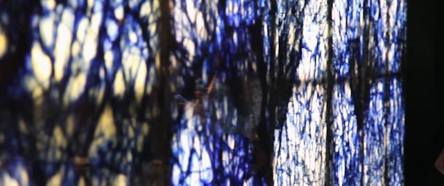 LACENO - Rocha Matriz (Without subtitles)