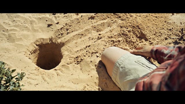 BIOGRAFILM - West Of Babylonia