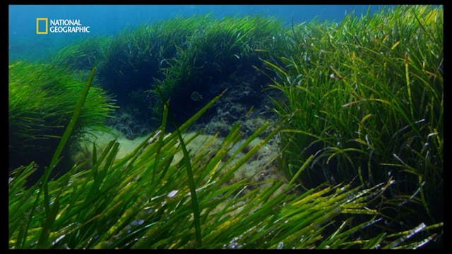 SARDEGNA - Gli eroi del mediterraneo