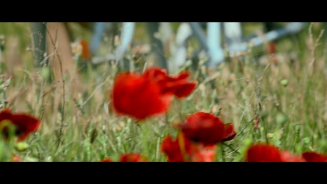 SGUARDI ALTROVE 2021 - letters of happiness SVK_all_engl_SRGB_24fps_5-1_HD