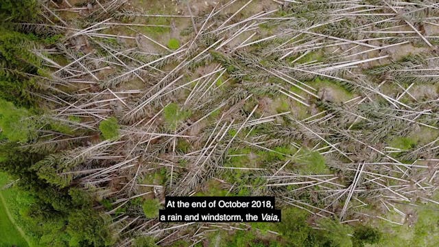 Pierluigi Erbaggio - Va' Sentiero - Alla scoperta del Sentiero Italia