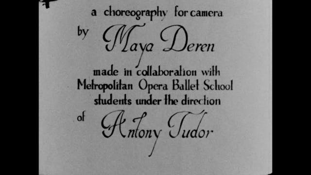 ARCHIVIO APERTO 2021 - Very Eye