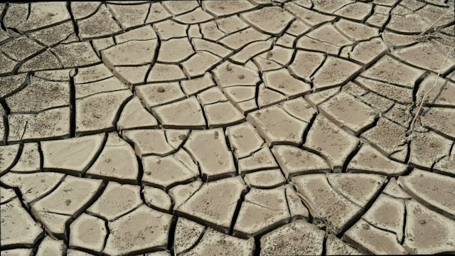 FONDAZIONE BIZZARRI - Francesca Romana Vagnoni - Watermark HD SUB ITA