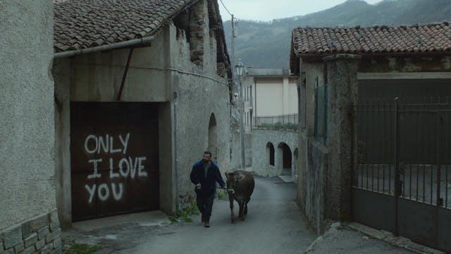 SGUARDI ALTROVE - Lessons Of Love