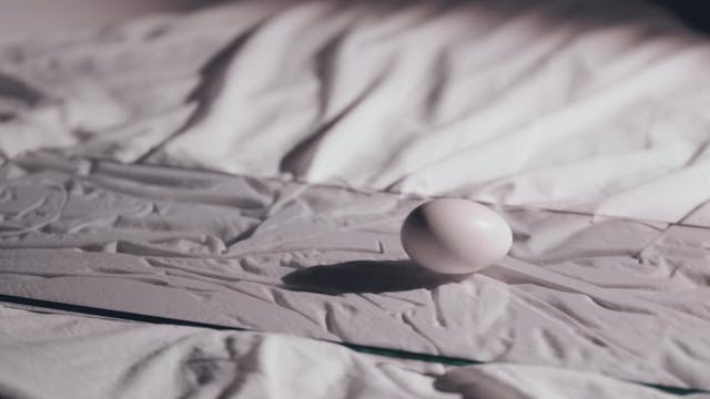 FILMMAKER - Permanent Exile