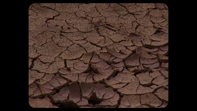 pesaro 2022 - Alizava_2021_Online_Pesaro Chiara Pinzauti