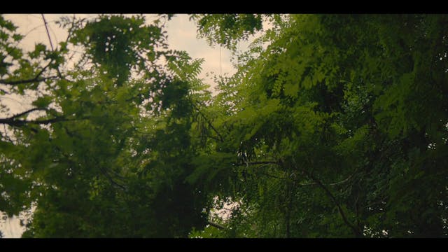 KOREA - Unpredictable boy - Corti 3