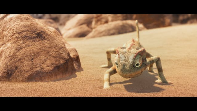 16 CORTO - Hors course