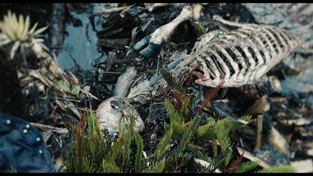 LUCCA - TOWARDS THE BATTLE