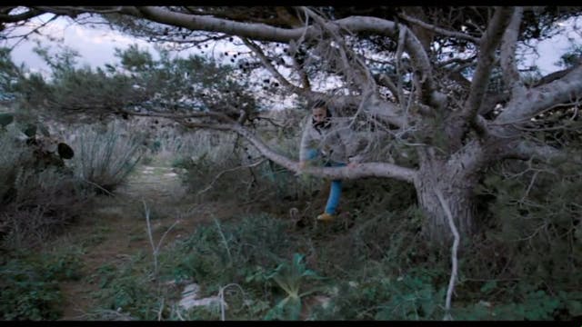 CINEMOVEL - fuocoammare