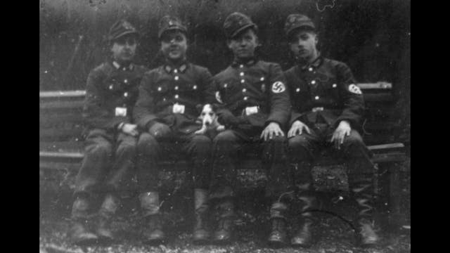 LACENO - revision_15mbit_russian