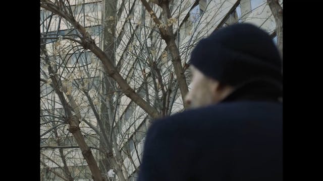 BIOGRAFILM - District Terminal