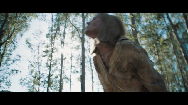 TRIESTE - SPAZIO CORTO - Horizon