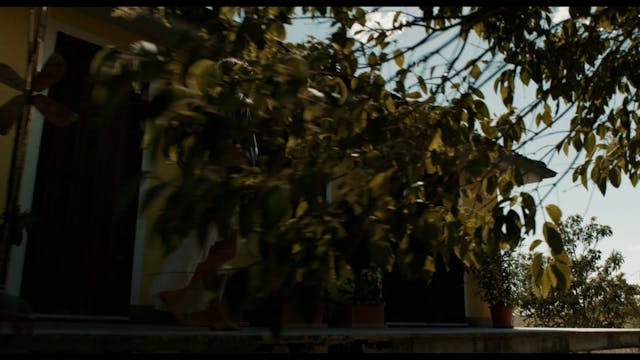 CAPRI HOLLYWOOD 2021 - LeManiSulleNuvole_cc_mix_20210423