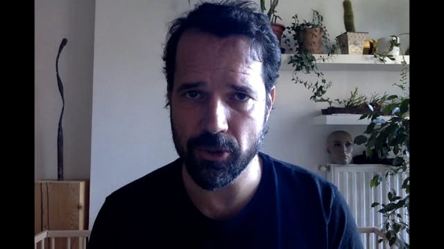 TRIESTE FF 2022 - forest + in e out