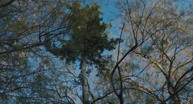 TERRAVIVA - A_YOUTH_HD_H264_SubENG_stereo_HelpRefugees