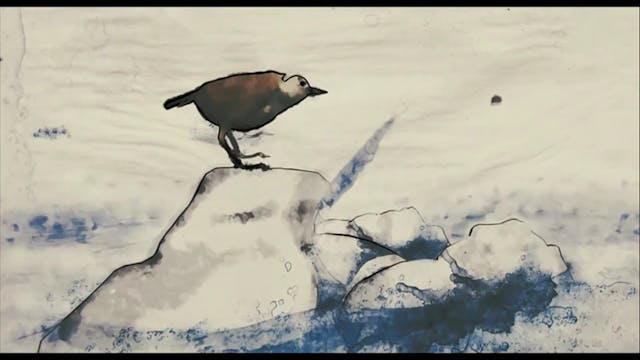 XXY uomini donne - ita