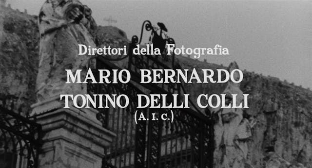 Paolo Pellicano - ComiziDAmore_IT-XX_1080_24_12Mbps_MYm