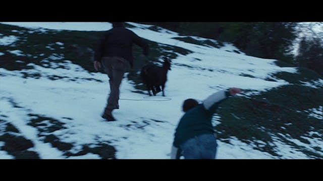 iic istituto di cultura - Sworn Virgin