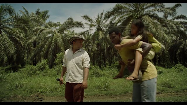 FESCAAAL 2022 - CAI-BER